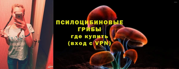 mix Белокуриха