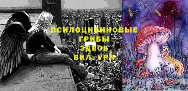 mix Белокуриха